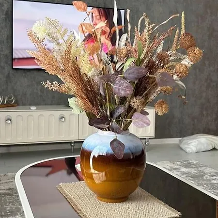 Lejlighed Viva Solid House Mamaia